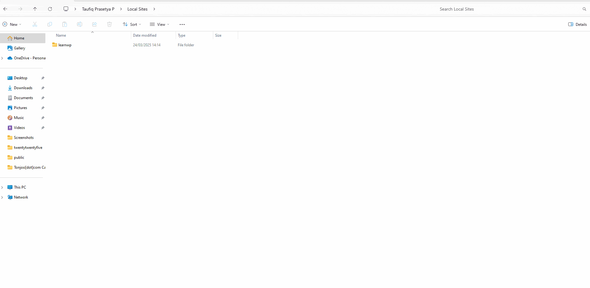 Langkah-langkah cara menghapus tema wordpress localhost